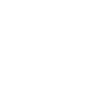 Person in wheelchair icon